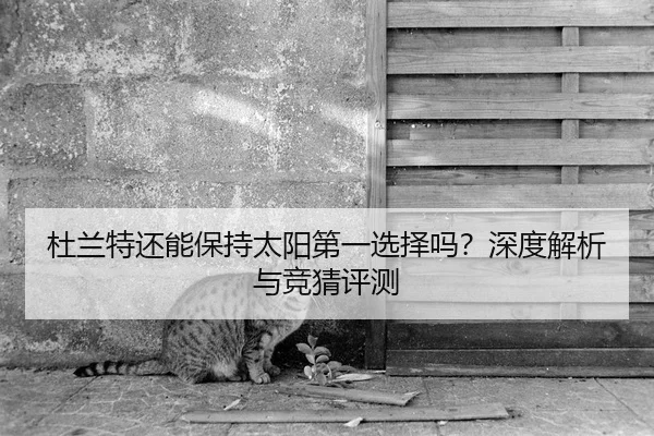 杜兰特还能保持太阳第一选择吗？深度解析与竞猜评测